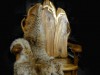 Unique massive wooden furniture- artistic handmade wooden hunters chair- (F36)