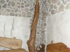 massive wooden accessories( 20) oak tree branch lamp